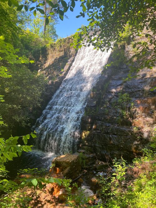 A cascading waterfall surrounded by lush green foliage and rocky terrain. Sunlight filters through the trees.