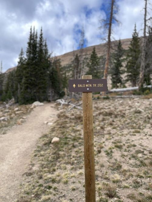 Trail sign for Bald Mountain Trail 202, with a dirt path and trees in the background under a cloudy sky.
