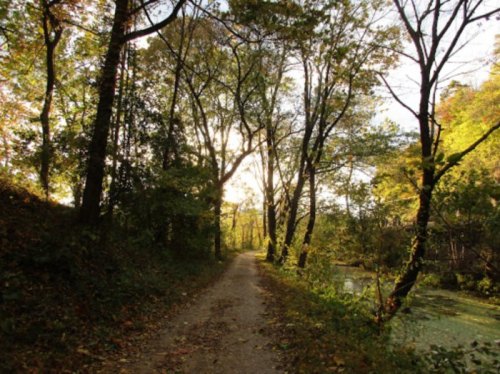 A serene path through a wooded area, with sunlight filtering through the trees and a calm waterway nearby.