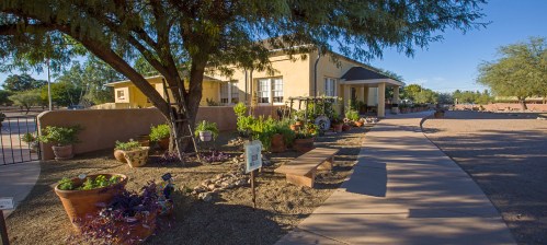 A sunny pathway leads to a yellow house surrounded by potted plants and trees in a landscaped garden.