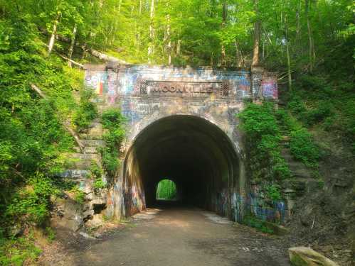 A graffiti-covered tunnel surrounded by lush green trees, with a dirt path leading through it.