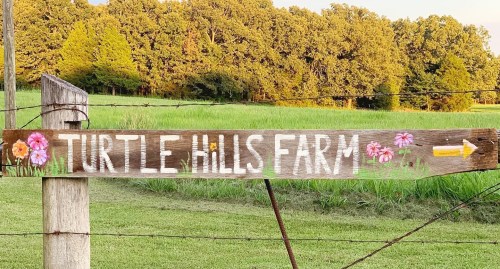 Wooden sign for Turtle Hills Farm with flowers, pointing right, set against a green field and trees in the background.