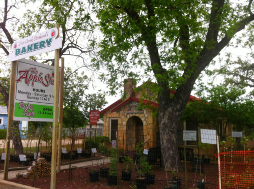 A quaint stone bakery with a sign displaying hours, surrounded by trees and garden plants.