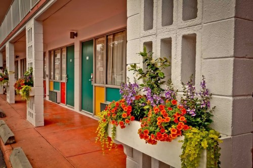 Colorful flowers in window boxes adorn a retro motel with vibrant doors and a clean, inviting walkway.