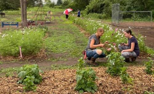 Two women kneel in a garden, examining plants, with flowers and trees in the background and an umbrella in the distance.