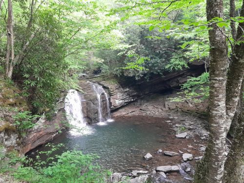 A serene forest scene featuring a small waterfall cascading into a tranquil pool surrounded by lush greenery.