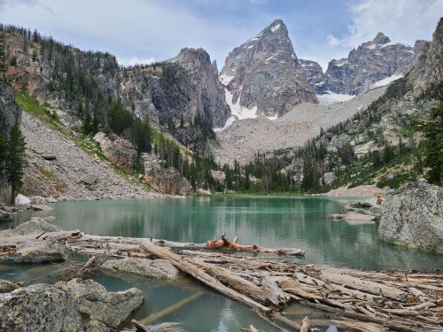 A serene mountain lake surrounded by rocky cliffs and pine trees, with logs floating on the water's surface.