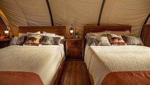 Cozy interior of a yurt with two beds, warm blankets, and rustic decor, creating a comfortable atmosphere.