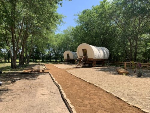 Two covered wagons sit under trees along a sandy path, surrounded by greenery and a rustic outdoor setting.