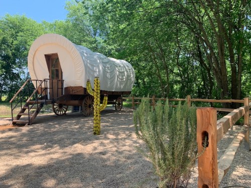 A covered wagon-style accommodation surrounded by trees and cacti, set in a gravel area with a wooden fence.