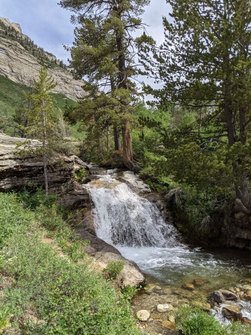A serene waterfall cascades over rocks, surrounded by lush greenery and tall trees under a clear blue sky.