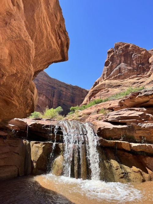 A small waterfall cascades over rocks in a canyon, surrounded by towering red cliffs and a clear blue sky.