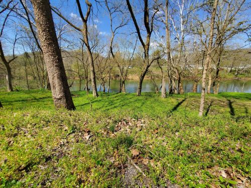 A serene riverside scene with trees and green grass under a clear blue sky.