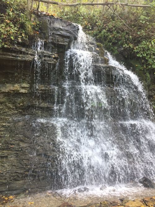 A cascading waterfall flows over rocky layers, surrounded by lush greenery and trees.