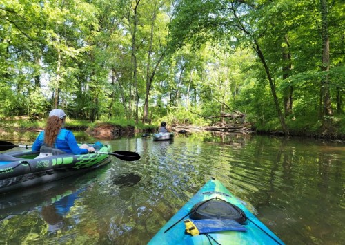 Two kayakers paddle through a serene, green forested area with calm waters and lush trees surrounding them.