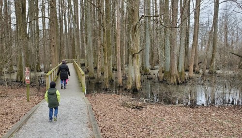 A child and an adult walk along a wooden path through a forested area with water and trees in the background.