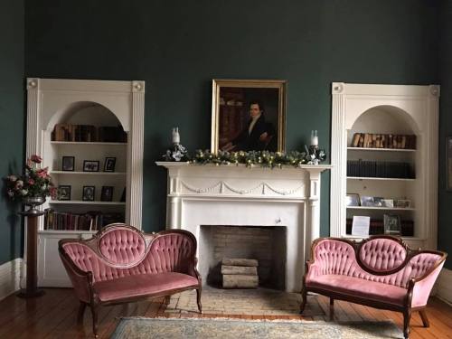 A cozy room with two pink sofas, a fireplace, and bookshelves, adorned with greenery and a portrait above the mantel.
