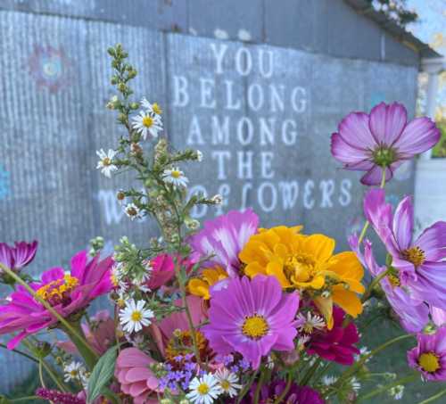 A vibrant bouquet of flowers in front of a wall with the text "You belong among the wildflowers."