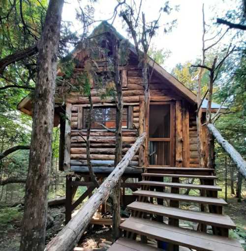 A rustic log cabin on stilts surrounded by trees, featuring a staircase leading to the entrance.