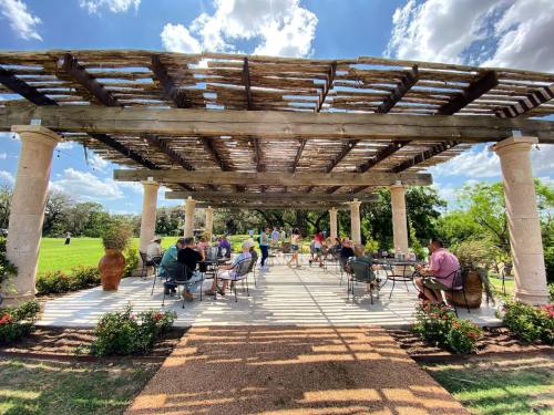 A shaded outdoor patio with people sitting at tables, surrounded by greenery and flowers under a blue sky.
