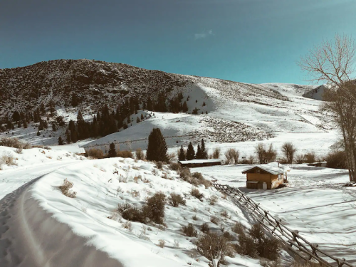 A snowy landscape with rolling hills, a wooden cabin, and sparse trees under a clear blue sky.