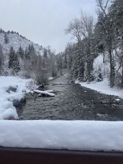 A snowy landscape featuring a winding river surrounded by trees and mountains under a gray sky.