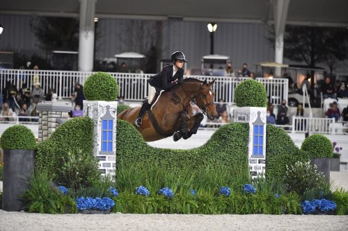 A rider in black attire jumps over a decorative hedge with a horse during an equestrian event, surrounded by spectators.