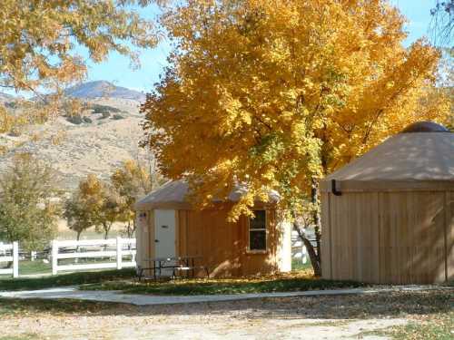 A cozy wooden yurt surrounded by vibrant autumn trees and a scenic mountain backdrop.