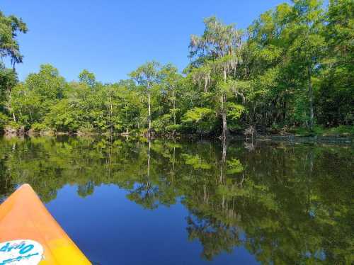 A serene view of a calm river surrounded by lush green trees, with reflections on the water's surface.