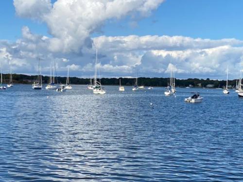 A serene harbor scene with several sailboats anchored on calm water under a partly cloudy sky.