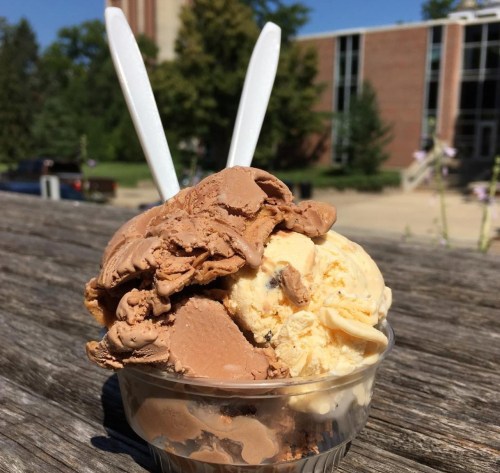 A cup of chocolate and vanilla ice cream with two plastic spoons, set on a wooden surface outdoors.