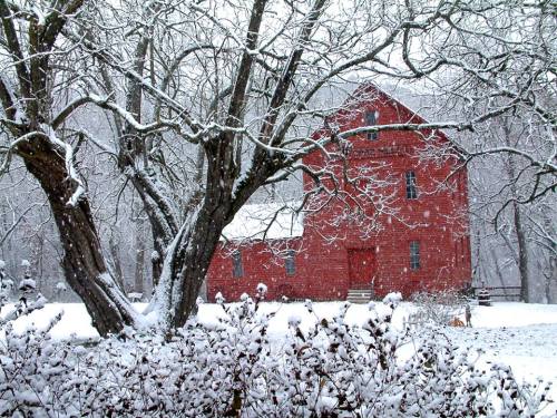 A red barn surrounded by snow-covered trees and bushes in a winter landscape. Snowflakes gently fall.