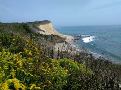 Coastal view featuring cliffs, ocean waves, and vibrant yellow flowers in the foreground under a clear blue sky.