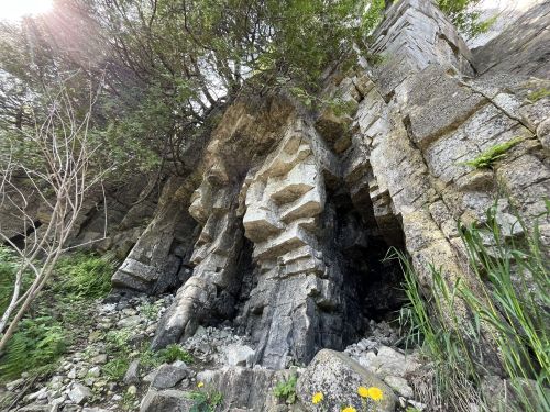 A rocky cliffside with layered stone formations, surrounded by greenery and small yellow flowers at the base.