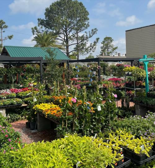 A vibrant garden center filled with colorful flowers and plants, surrounded by trees and a clear blue sky.