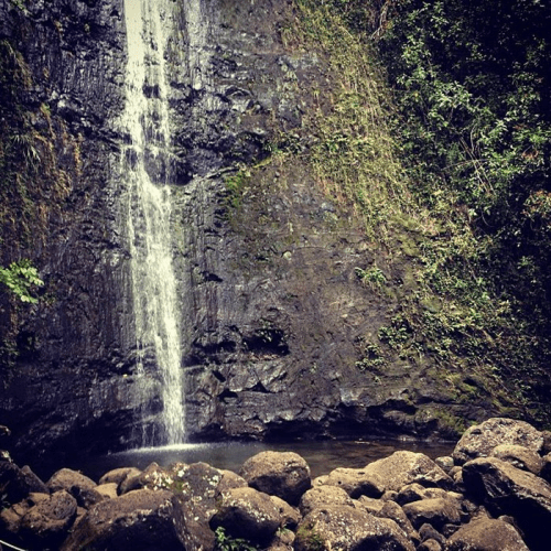 A serene waterfall cascading down rocky cliffs into a calm pool, surrounded by lush greenery.