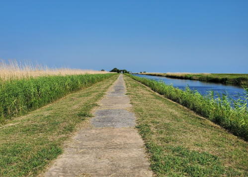 A wide path bordered by tall grass and a calm waterway under a clear blue sky.