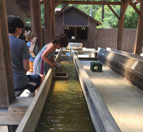 Children are panning for gold in a shallow stream under a wooden shelter, with a cabin in the background.