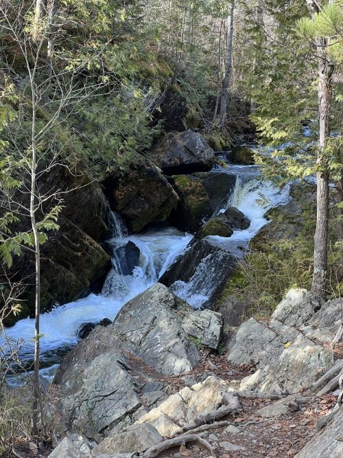 A serene forest scene featuring a flowing river cascading over rocks, surrounded by lush greenery and trees.