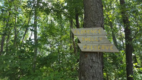 Wooden sign on a tree pointing to "Florence Shelly Preserve" amidst lush green forest foliage.