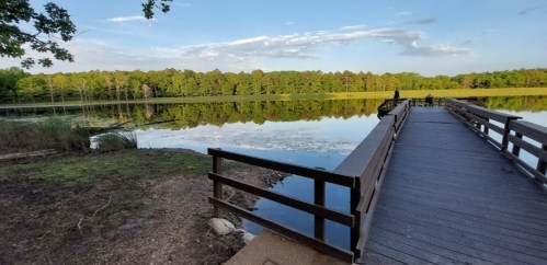 A serene lake view with a wooden dock, surrounded by lush green trees and a clear blue sky.