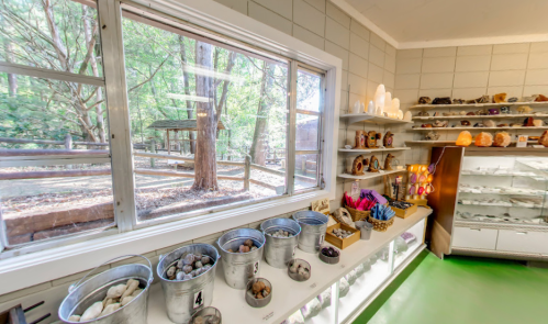 A bright room with shelves of rocks and minerals, large windows overlooking a forested area outside.