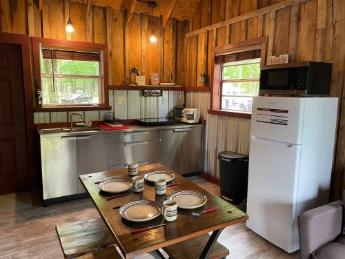 Cozy cabin kitchen with wooden walls, stainless steel appliances, a dining table set for four, and natural light.