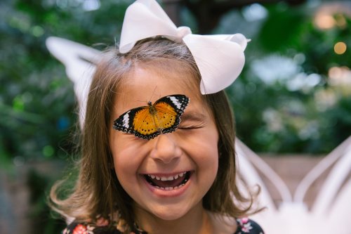 A smiling girl with a butterfly on her forehead, wearing a large white bow in her hair, surrounded by greenery.