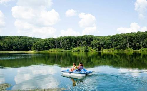 Two people paddle a small boat on a calm lake surrounded by lush green trees and a clear blue sky.