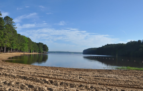 A serene lake surrounded by trees, with a sandy shore and clear blue sky reflecting on the water's surface.