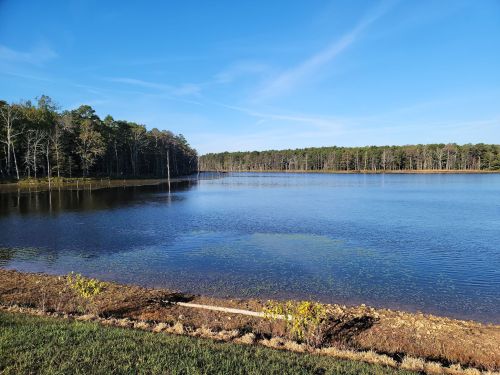 A serene lake surrounded by trees under a clear blue sky, with calm water reflecting the landscape.