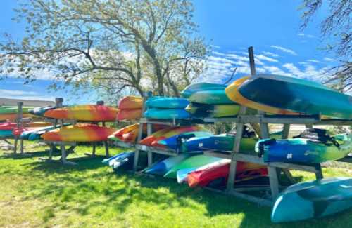 Colorful kayaks stacked on a wooden rack, surrounded by green grass and trees under a clear blue sky.