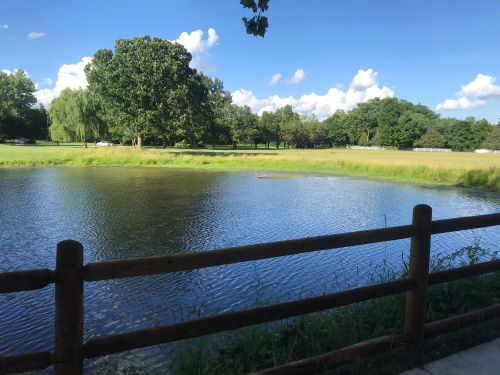 A serene pond surrounded by lush greenery and trees under a clear blue sky with fluffy clouds.