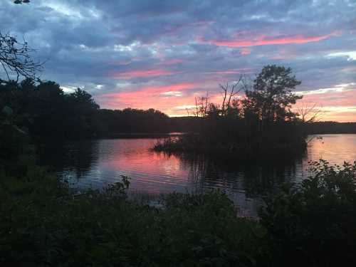 A serene lake at sunset, with vibrant pink and purple skies reflecting on the water and trees silhouetted in the foreground.